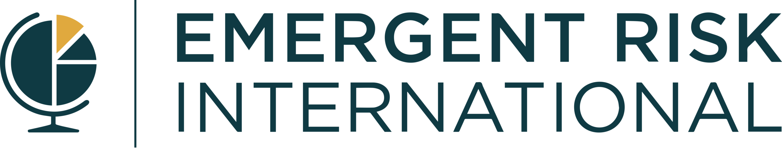 Emergent Risk International